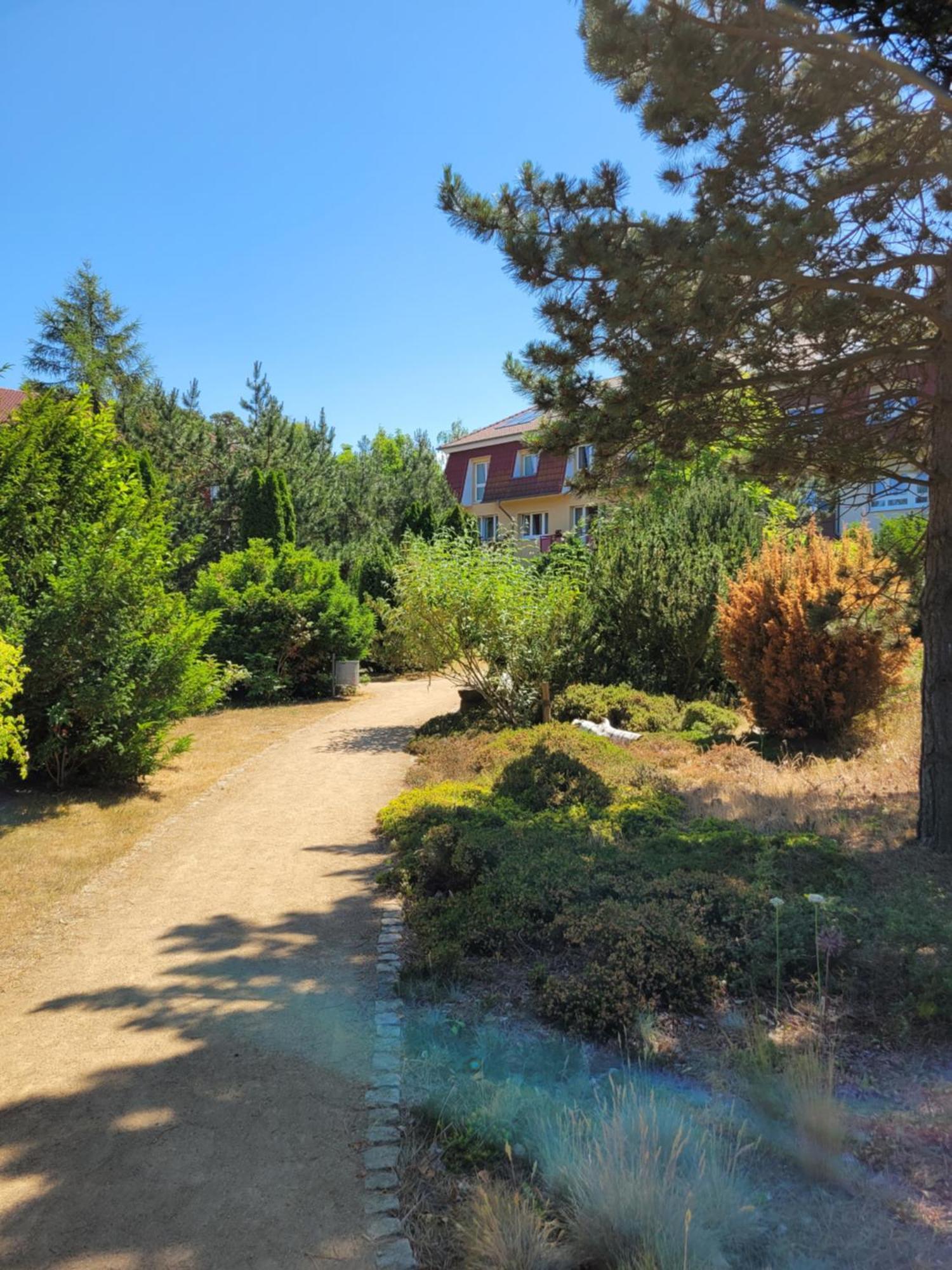 Appartement Im Duenengarten Ostseebad Kühlungsborn Exteriér fotografie