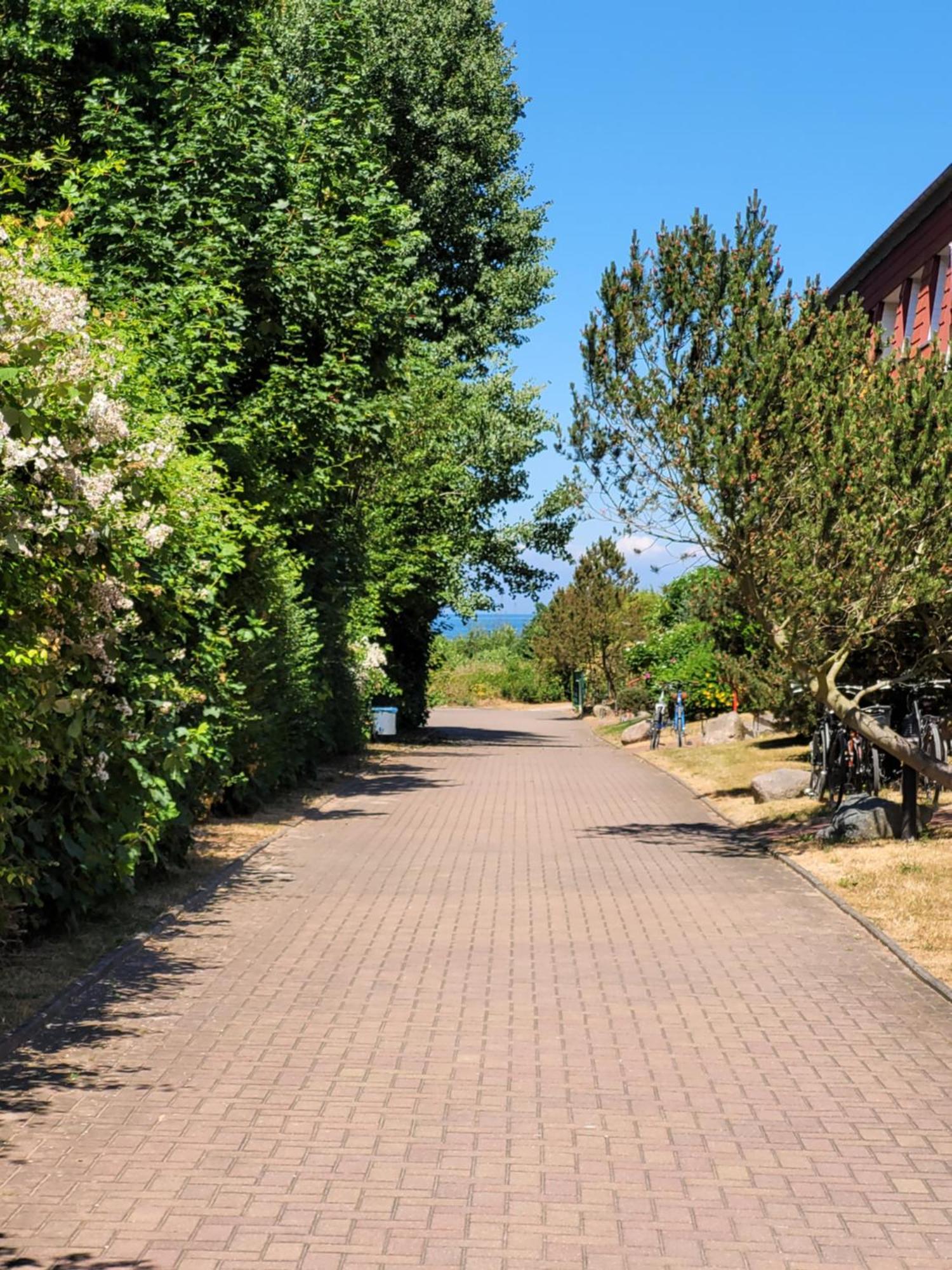 Appartement Im Duenengarten Ostseebad Kühlungsborn Exteriér fotografie